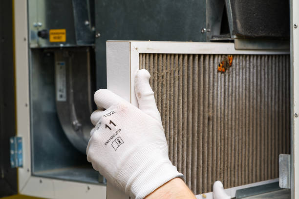Best Air Quality Test  in Gueydan, LA